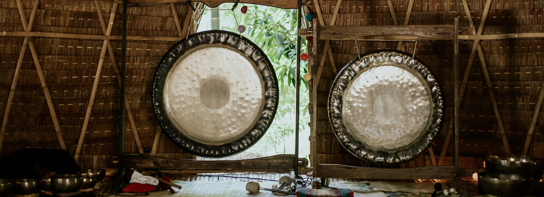 Terapia de Sonido con Gong